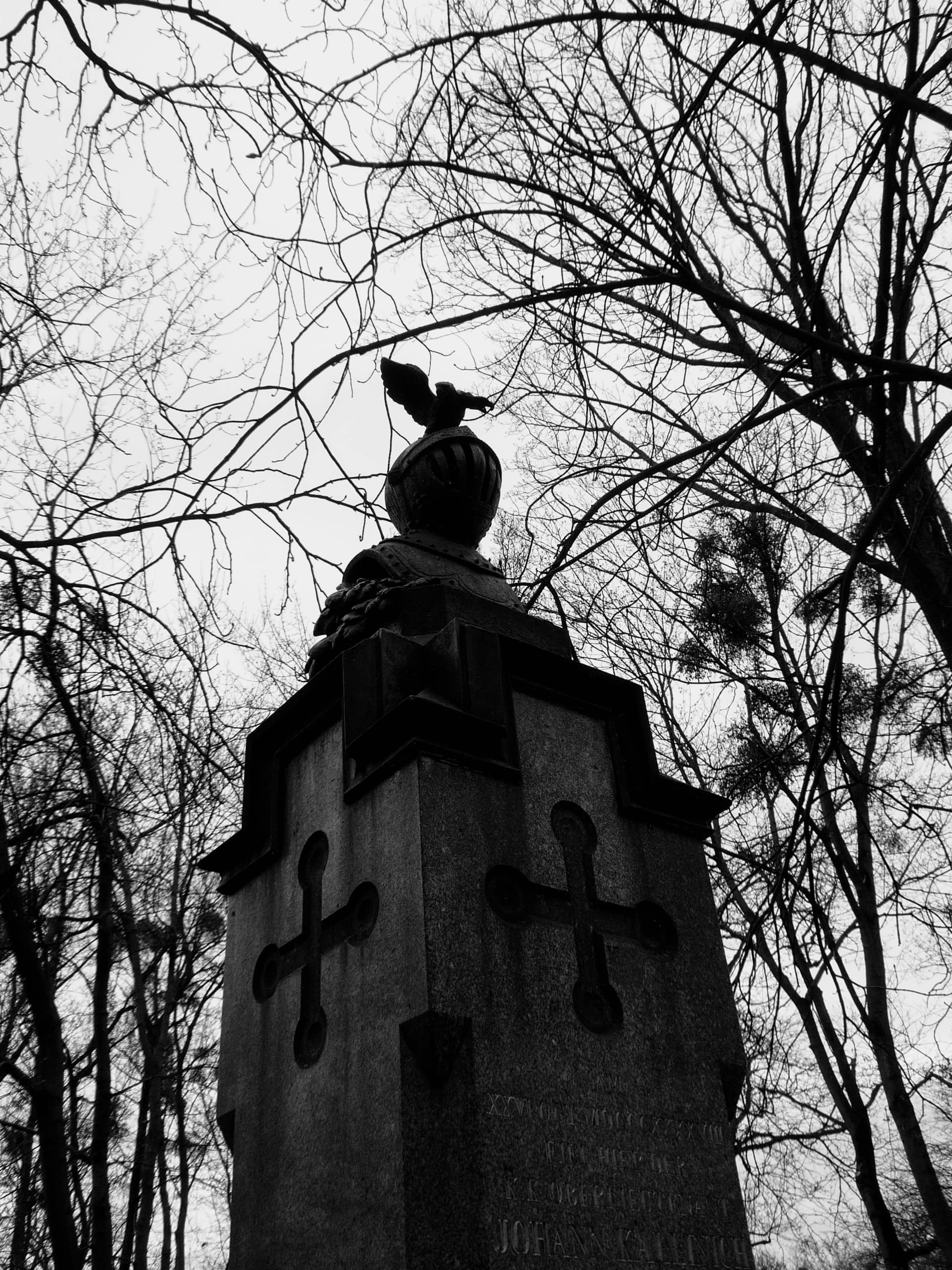 Photography 19